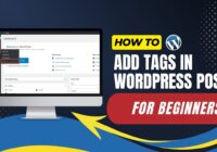 How To Add Tags In WordPress Post For Beginners