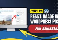 How To Resize Image In WordPress Post For Beginners