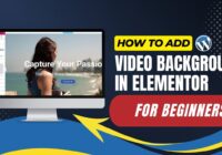 How To Add Video Background In Elementor For Beginners