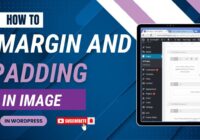 How To Add Margin And Padding In Image In WordPress