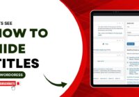 How To Hide Titles In WordPress