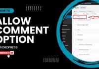 How To Allow Comment Option In WordPress