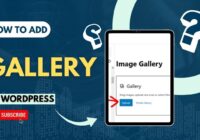 How To Add Gallery In WordPress